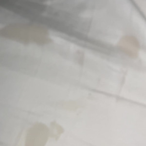 Video by peaboo published on May 27,2023 11:02:00 - BestThots