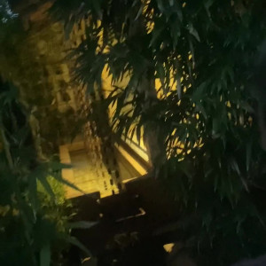 Video by getinthecar_ published on August 16,2023 17:37:00 - BestThots