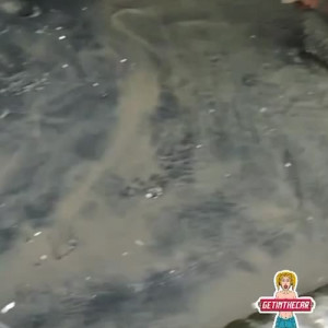 Video by getinthecar_ published on January 12,2024 19:42:29 - BestThots