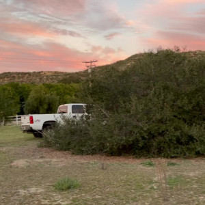 Video by getinthecar_ published on January 12,2024 19:43:30 - BestThots