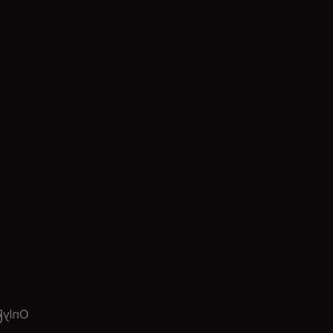 Video by rubybabyred published on June 18,2023 18:25:00 - BestThots