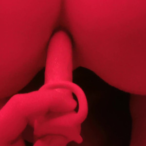 grullabby #5544026