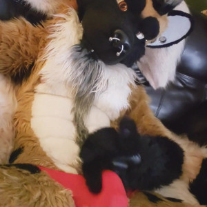 Video by daddyyeenproductions published on April 27,2023 21:36:00 - BestThots