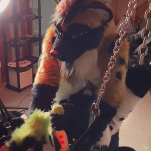 Video by daddyyeenproductions published on April 1,2023 05:52:00 - BestThots