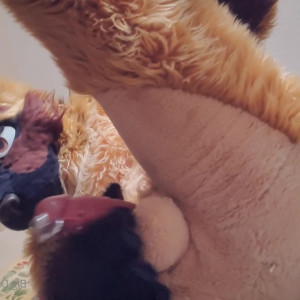 Video by daddyyeenproductions published on April 15,2023 02:33:00 - BestThots