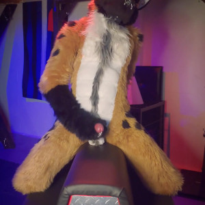 Video by daddyyeenproductions published on April 22,2023 16:55:00 - BestThots