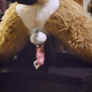 Video by daddyyeenproductions published on March 6,2023 19:07:00 - BestThots