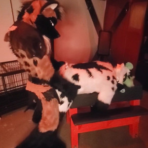 Video by daddyyeenproductions published on April 30,2023 17:53:00 - BestThots