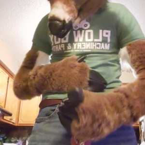 Video by daddyyeenproductions published on May 10,2023 08:21:00 - BestThots