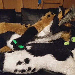 Video by daddyyeenproductions published on March 21,2023 01:52:00 - BestThots