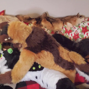 Video by daddyyeenproductions published on April 13,2023 00:18:00 - BestThots