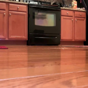 Video by thegodfairy published on March 6,2023 06:10:00 - BestThots