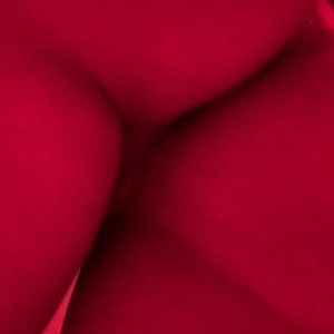 Video by nursh published on May 19,2023 16:33:00 - BestThots
