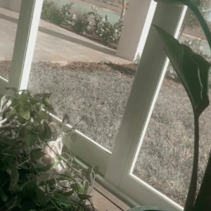 Video by karleystokes published on August 21,2023 06:10:35 - BestThots