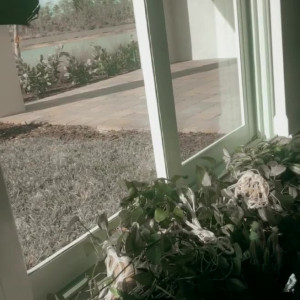 Video by karleystokes published on August 15,2023 22:00:00 - BestThots