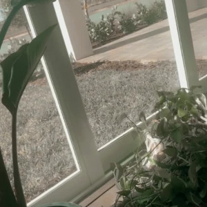 Video by karleystokes published on March 10,2023 20:27:00 - BestThots