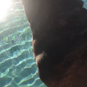 Video by karleystokes published on March 15,2023 17:25:00 - BestThots