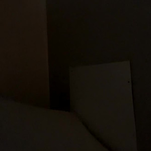 Video by theillusiveham published on August 4,2023 07:29:00 - BestThots