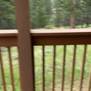 Video by littlehollybeth published on August 21,2023 06:39:16 - BestThots