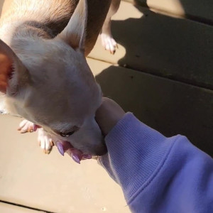 Video by missheatherbby published on August 10,2023 13:13:00 - BestThots