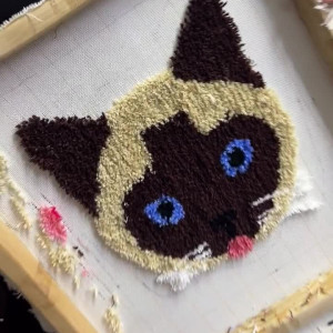 verysallyish #5354044