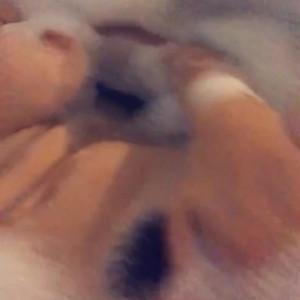 Video by danadearmond published on July 25,2023 07:31:00 - BestThots