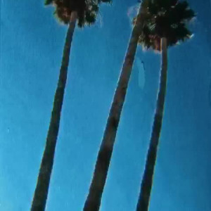 Video by theamandanicole published on August 21,2023 06:55:34 - BestThots