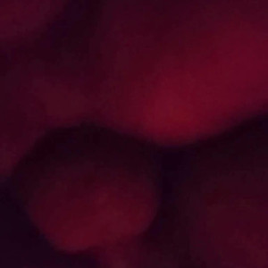 Video by mangobros published on August 21,2023 07:03:20 - BestThots