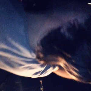 Video by oliverknarf published on May 9,2023 06:35:00 - BestThots