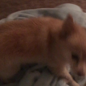 Video by missjessarhodes published on May 22,2023 23:04:00 - BestThots