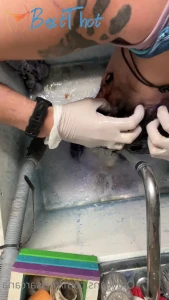 Video by missarcana published on January 18,2025 00:03:16 - BestThots