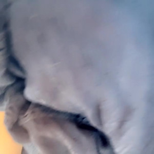 Video by cheriedeville published on January 10,2024 08:05:04 - BestThots