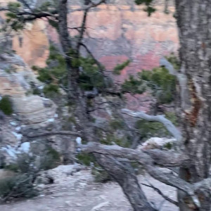 Video by summerbrookes published on May 24,2023 20:43:00 - BestThots