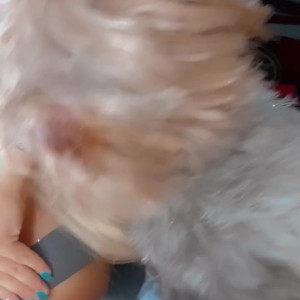 Video by summerbrookes published on May 19,2023 21:05:00 - BestThots