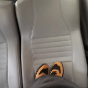 Video by sirsluttrap published on August 21,2023 11:50:12 - BestThots