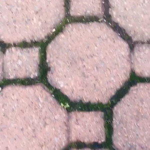 Video by latinagoddessxx published on April 6,2023 00:51:00 - BestThots