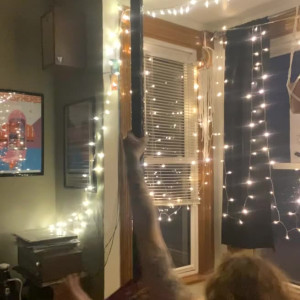 Video by lydiahasabush published on March 13,2023 13:05:00 - BestThots
