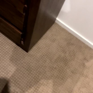 daddymush69 #4247943