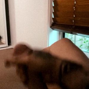 Video by daddymush69 published on May 21,2023 07:13:00 - BestThots