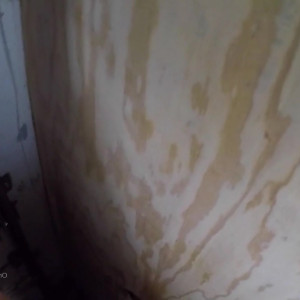 Video by harlemhookup published on July 6,2023 12:10:00 - BestThots