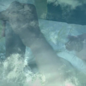 Video by harlemhookup published on August 19,2023 14:56:00 - BestThots