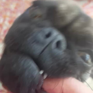 Video by matildem published on April 30,2023 03:56:00 - BestThots