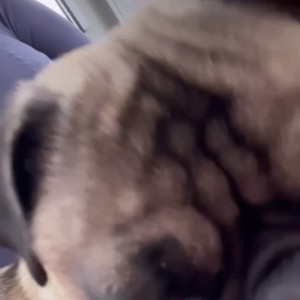 Video by matildem published on July 7,2023 02:01:00 - BestThots