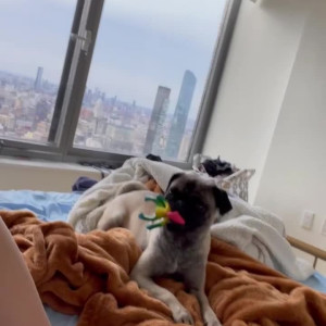 Video by matildem published on May 29,2023 09:17:00 - BestThots