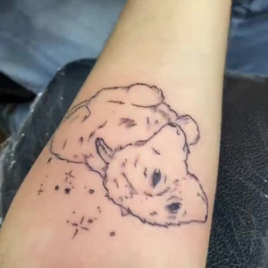 Video by matildem published on August 1,2023 03:35:00 - BestThots