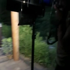 kerynedensvip #5466247