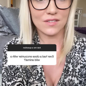 Video by thekatykat published on April 25,2023 23:29:00 - BestThots
