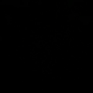 Video by topdomme published on April 8,2023 15:15:00 - BestThots