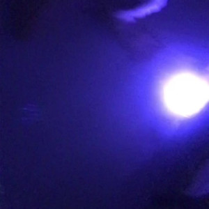 Video by topdomme published on March 15,2023 09:42:00 - BestThots
