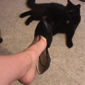 Video by topdomme published on April 9,2023 19:05:00 - BestThots